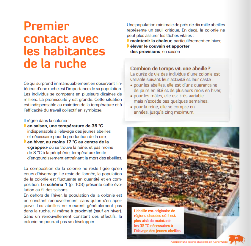 PETIT MANUEL D´APICULTURE DOUCE EN RUCHE WARRE