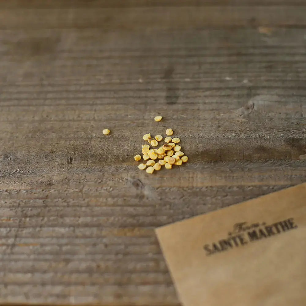 PIMENT SUCETTE DE PROVENCE AB