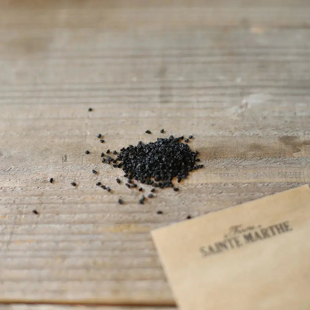 POIREAU MONSTRUEUX D´ELBEUF AB