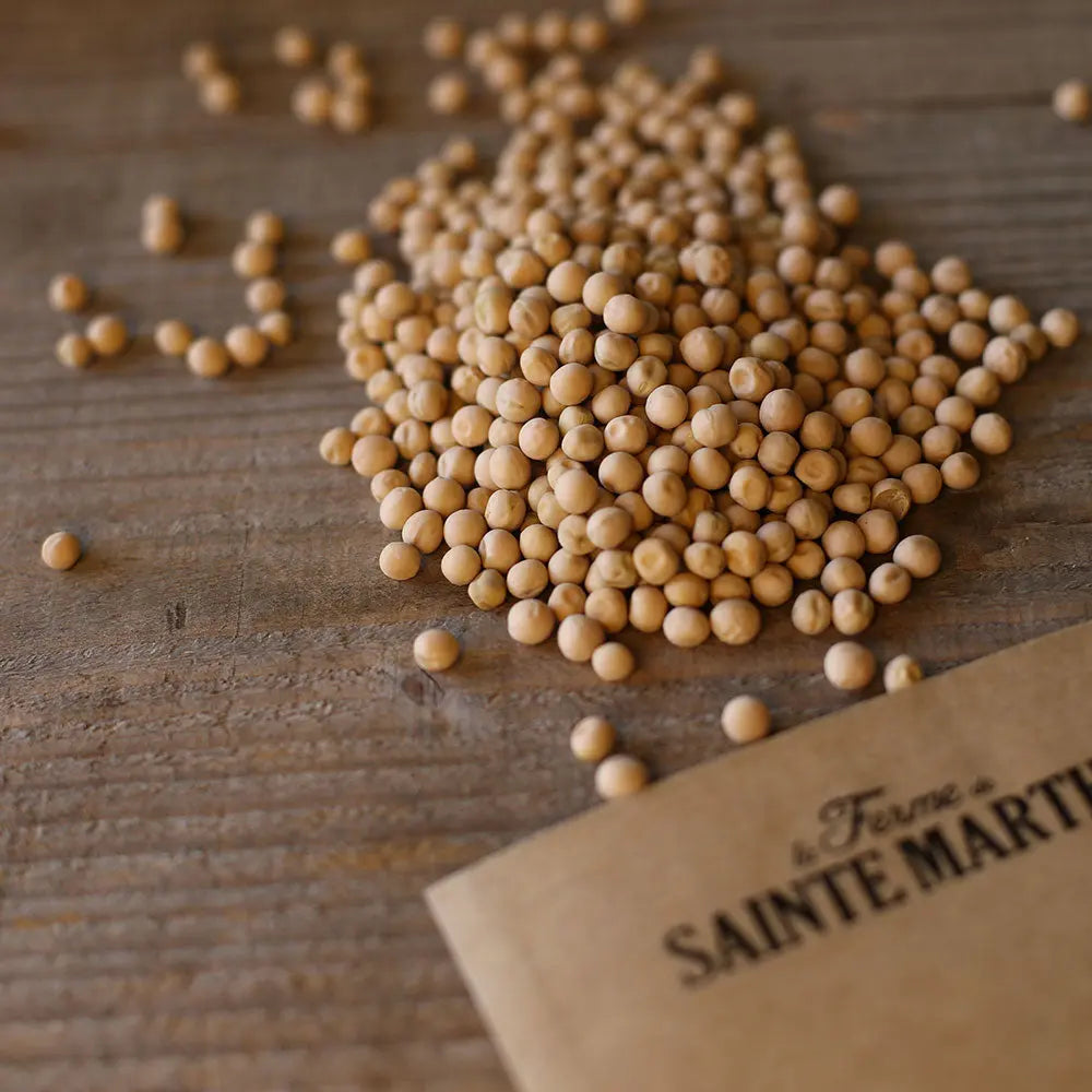 POIS DEMI-RAMANT PRECOCE DE MAI (OU PRINCE ALBERT) GRAIN ROND A ECOSSER AB