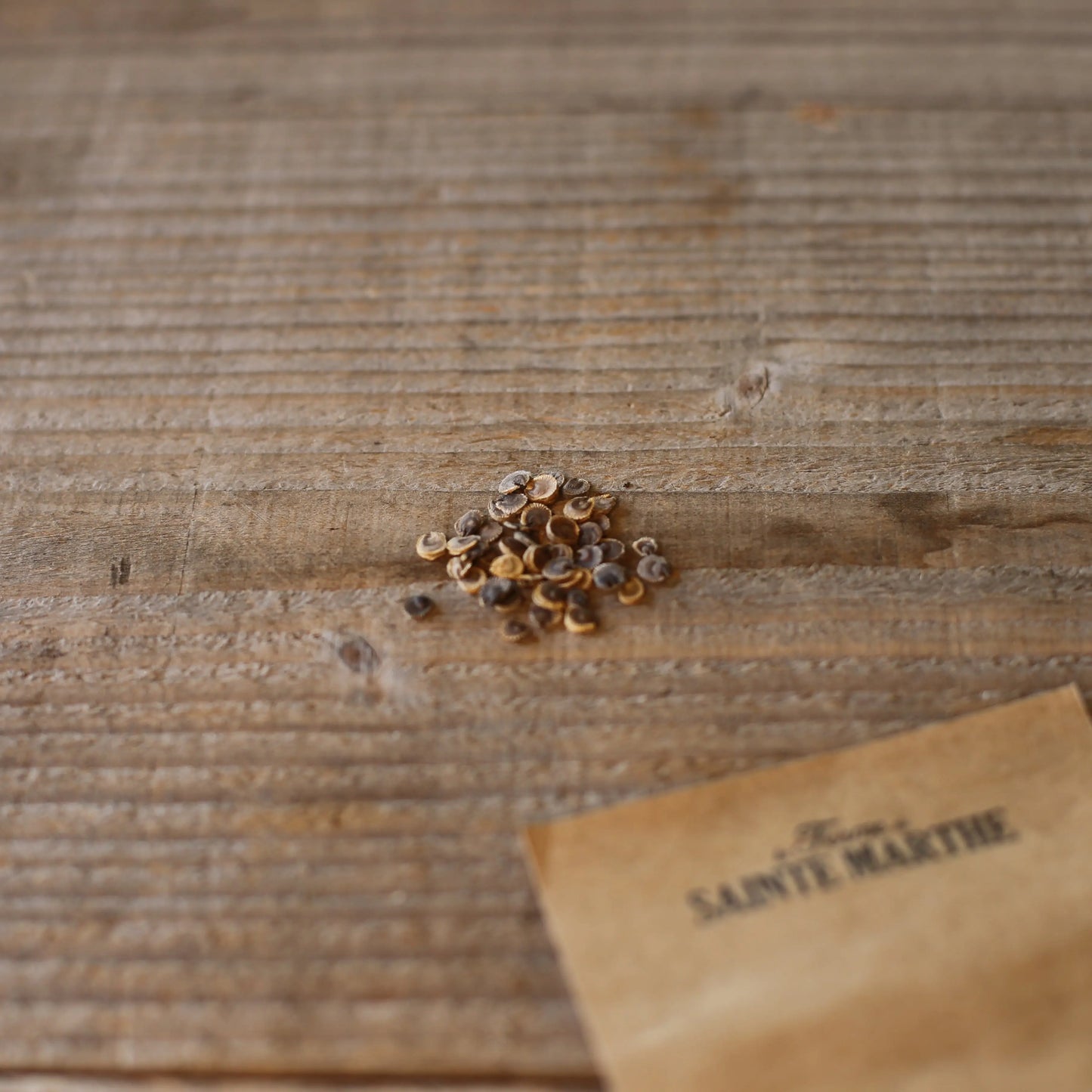 ROSE TREMIERE HALO CREAM AB