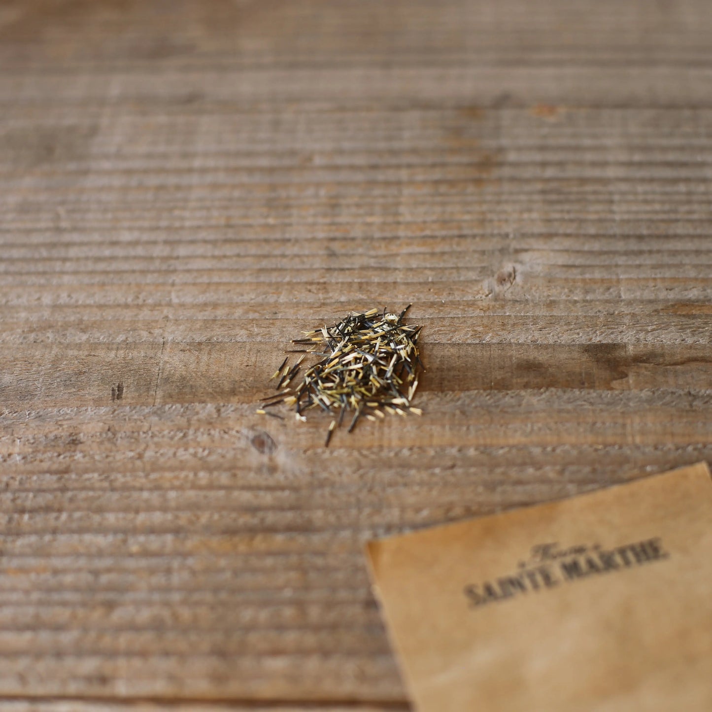 TAGETE CITRON LEMON GEM AB