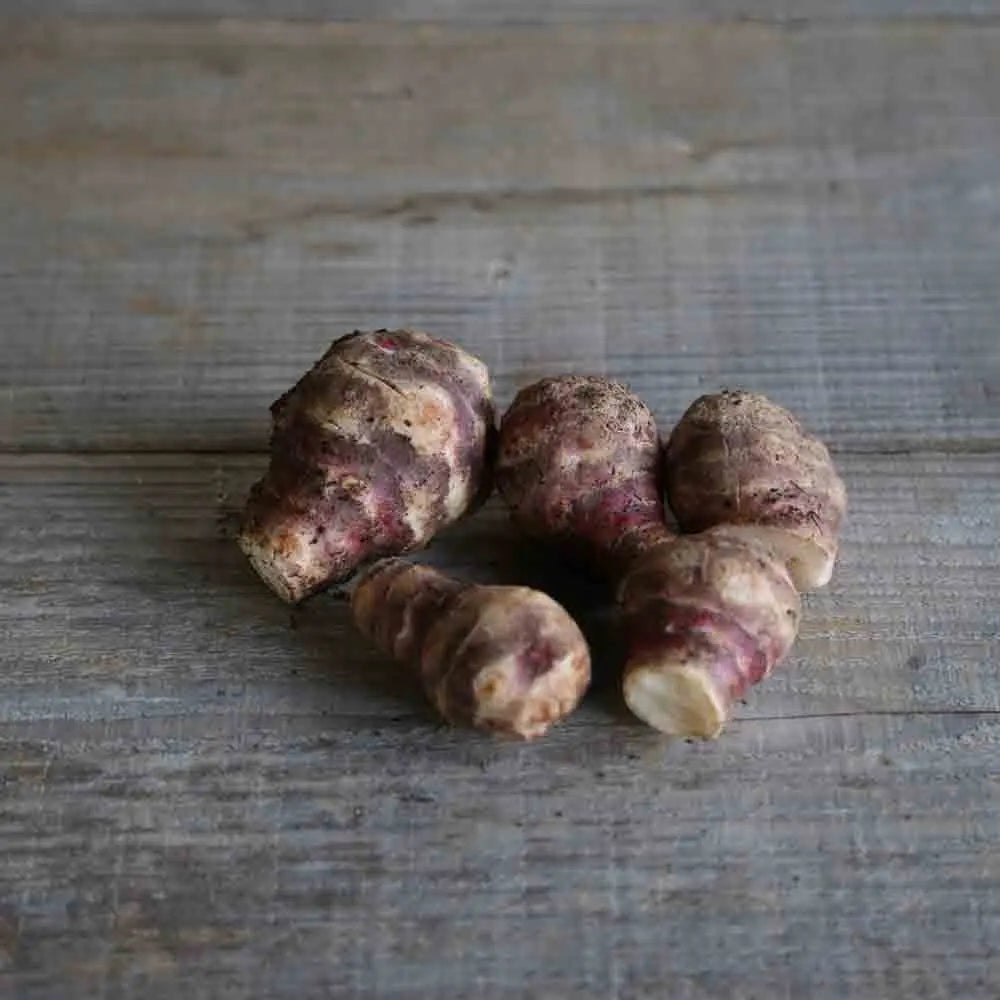 Tubercules de topinambour sakalinsky blanc – La Ferme de Sainte Marthe