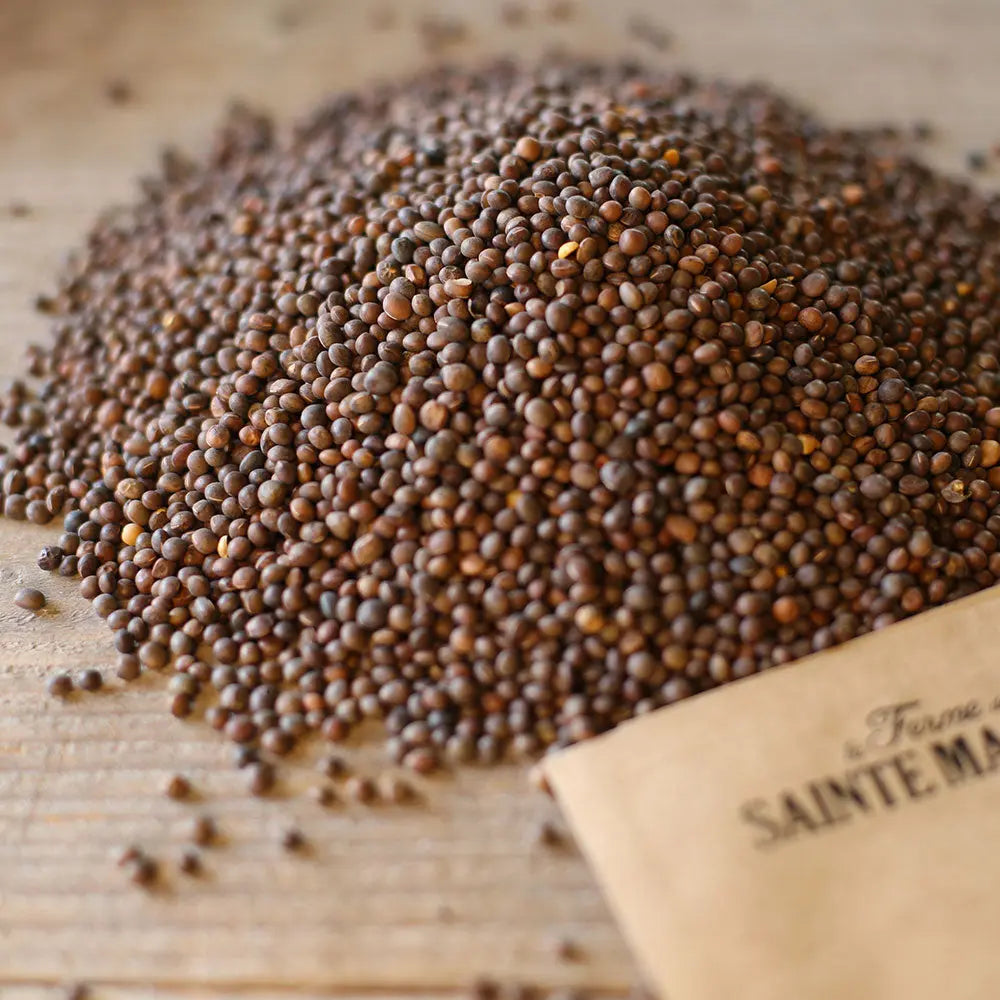 VESCE DE CERDAGNE OU D´HIVER AB 150 g