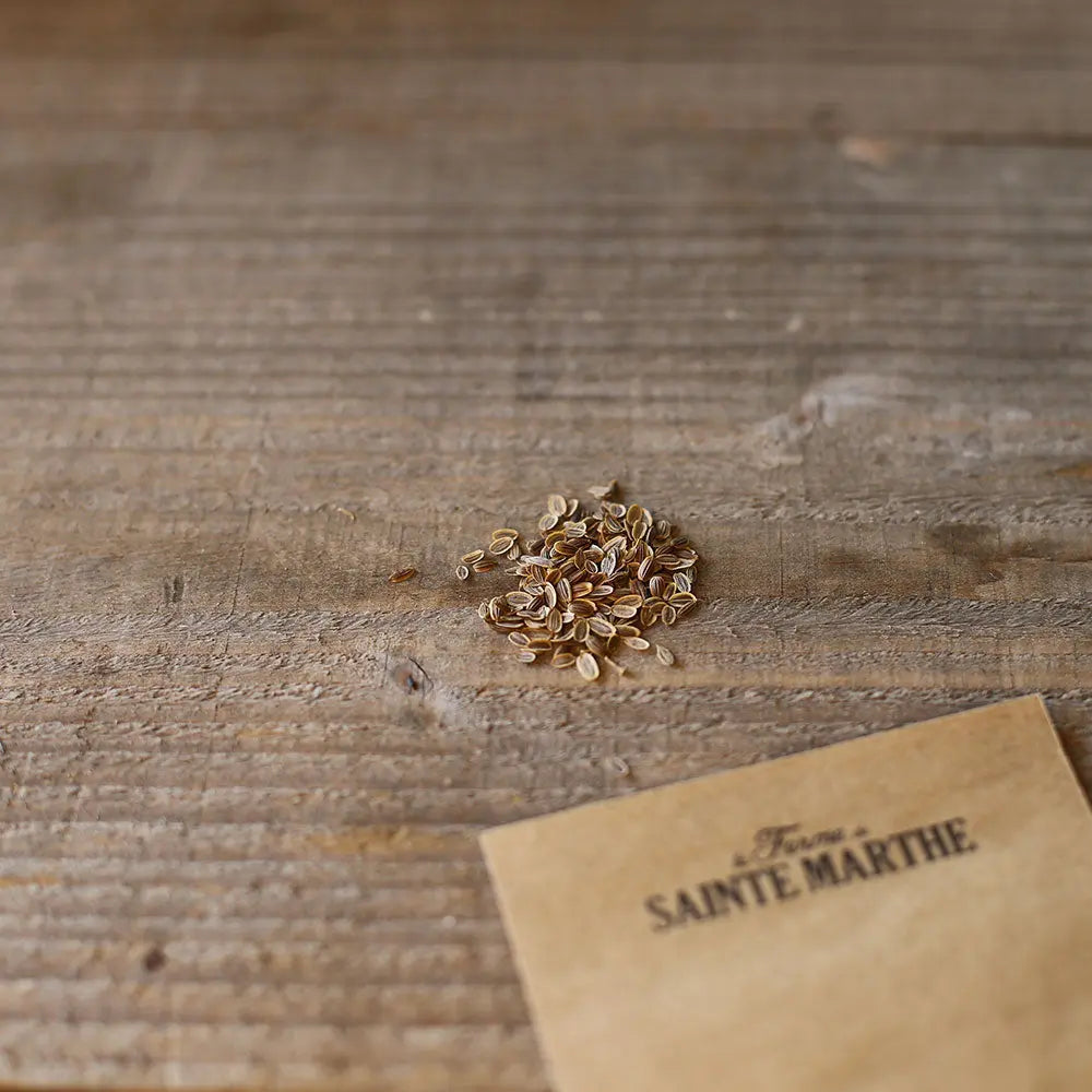 Graines d'aneth bio – La Ferme de Sainte Marthe