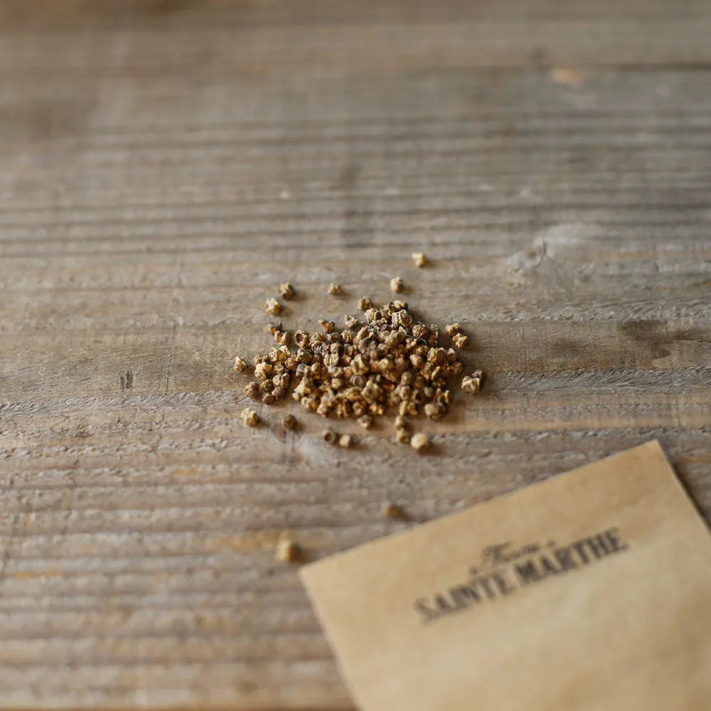 Graines de betterave bio – La Ferme de Sainte Marthe