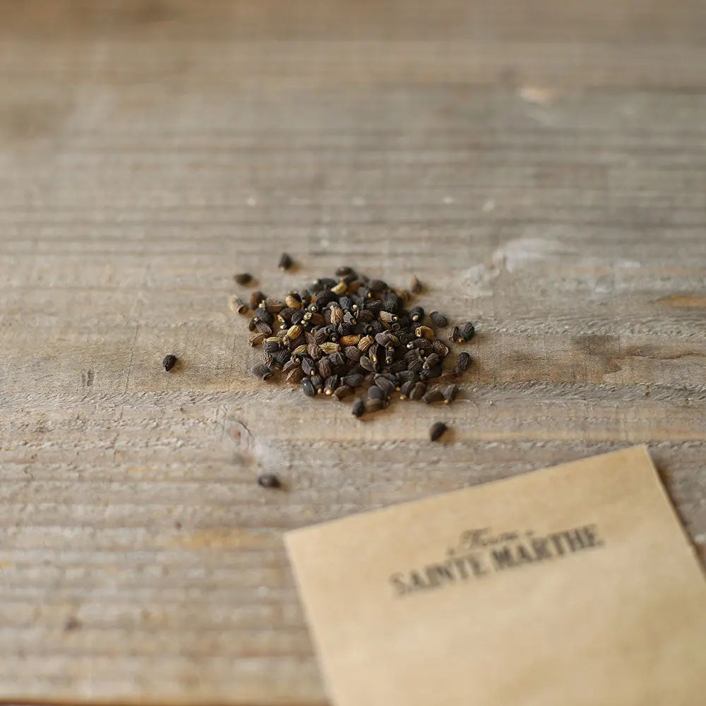 Graines de bourrache officinale bio – La Ferme de Sainte Marthe