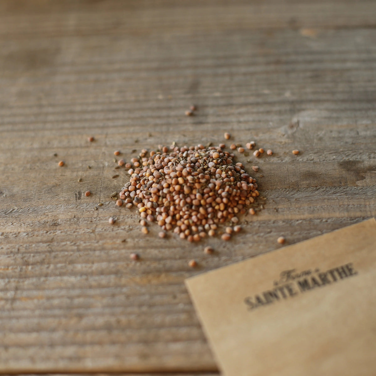 Graines de carotte et radis (nantaise 2 de 18 jours) bio – La Ferme de Sainte Marthe