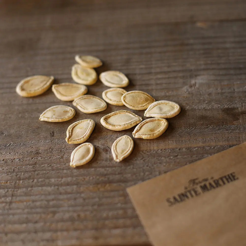 Graines de citrouille de touraine bio – La Ferme de Sainte Marthe