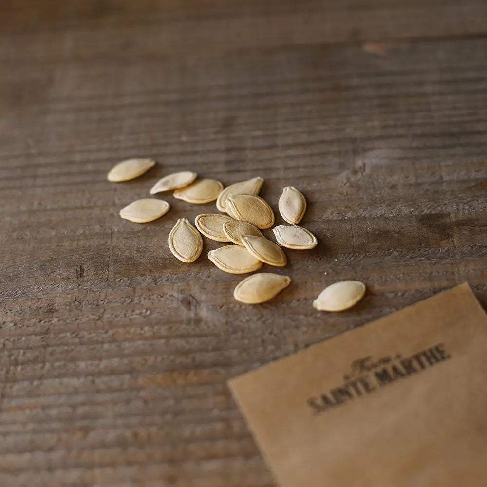 Graines de courge jack o lantern bio – La Ferme de Sainte Marthe