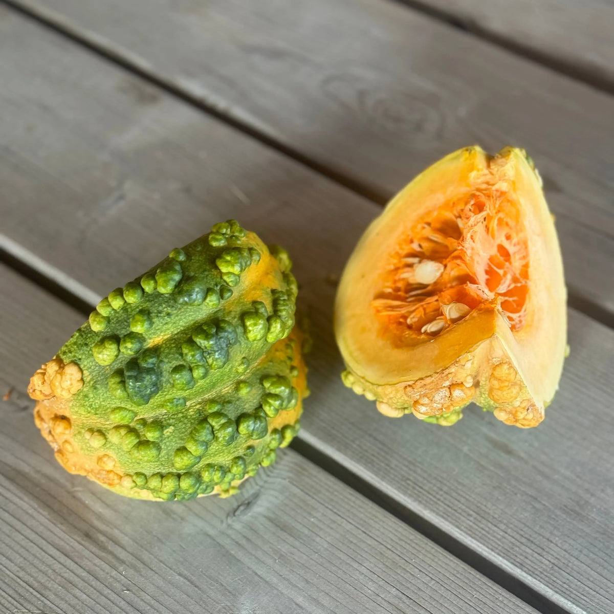 Graines de courge musquée galeuse du maroc bio – La Ferme de Sainte Marthe