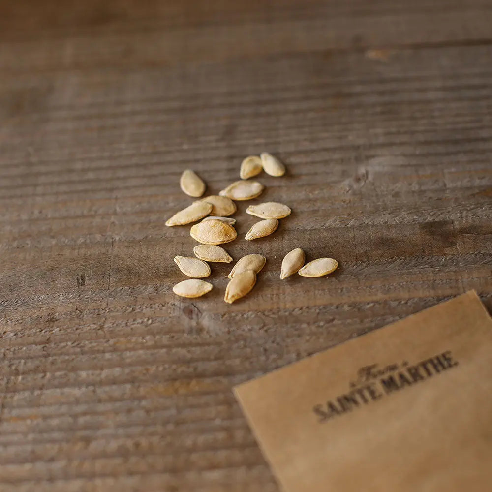 Graines de courge musquée pleine de naples bio – La Ferme de Sainte Marthe