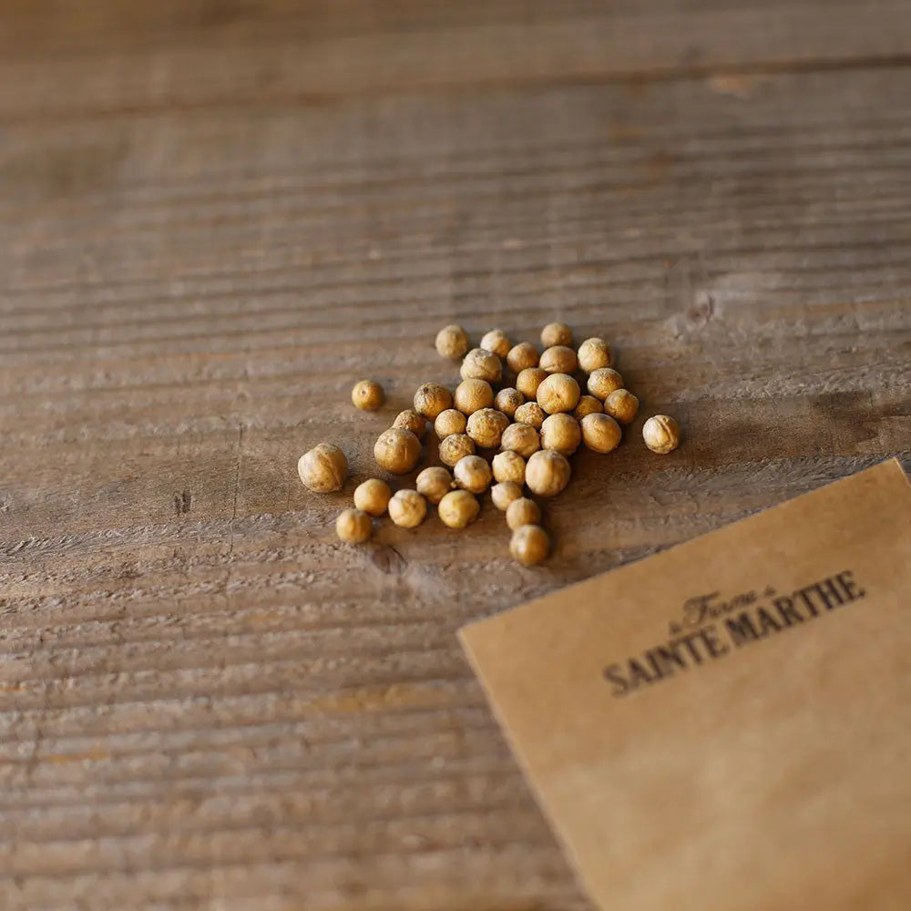Graines de crambe maritime bio – La Ferme de Sainte Marthe