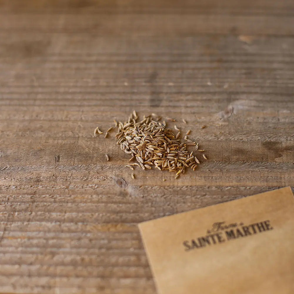 Graines de cumin – La Ferme de Sainte Marthe