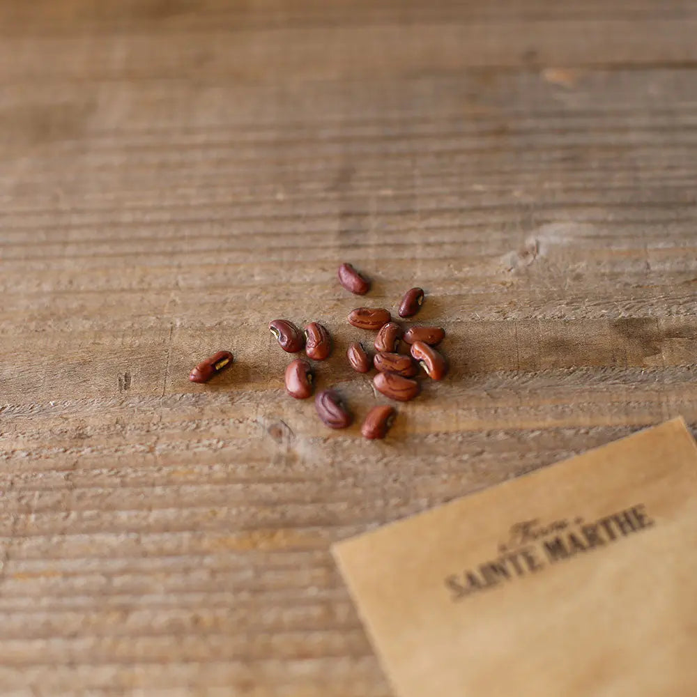 Graines de haricot serpent ou dolique asperge rouge taiwan hongdoujiao bio – La Ferme de Sainte Marthe