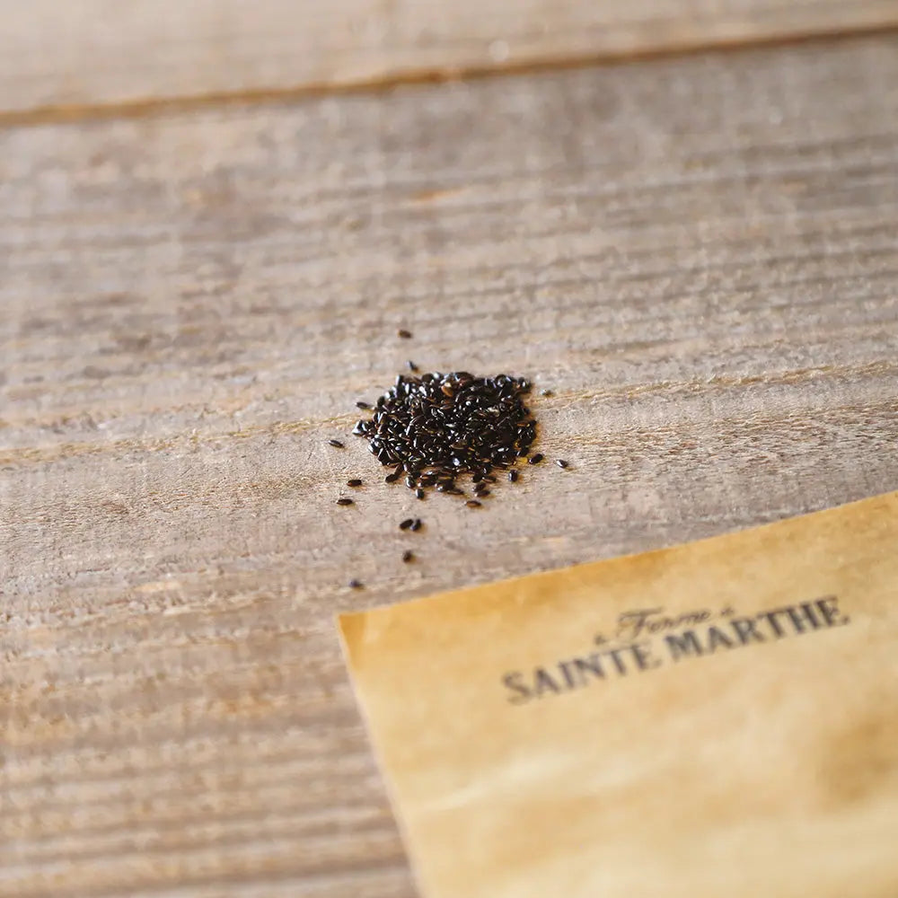 Graines de lavande bio – La Ferme de Sainte Marthe