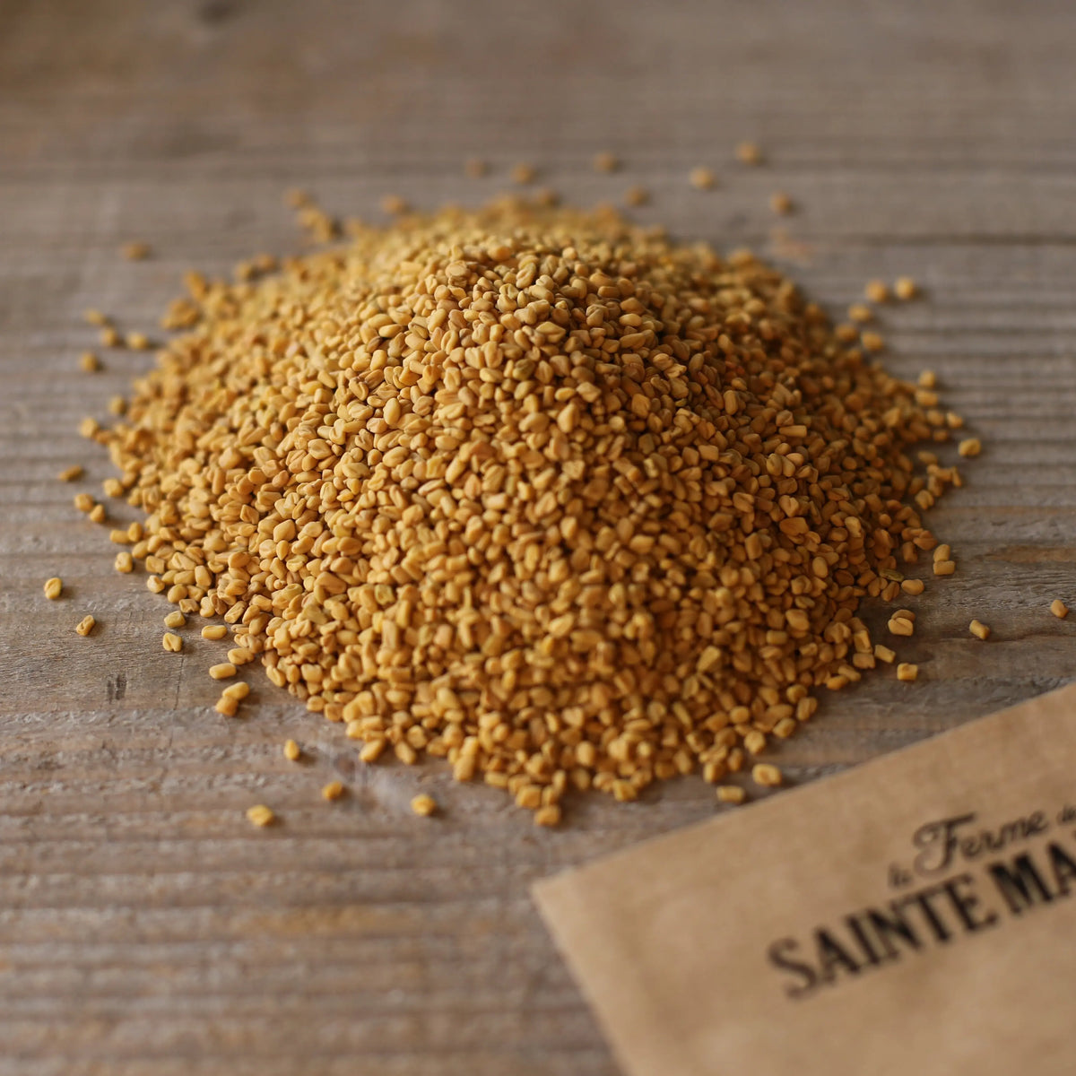 Graines de lupin bleu bio – La Ferme de Sainte Marthe