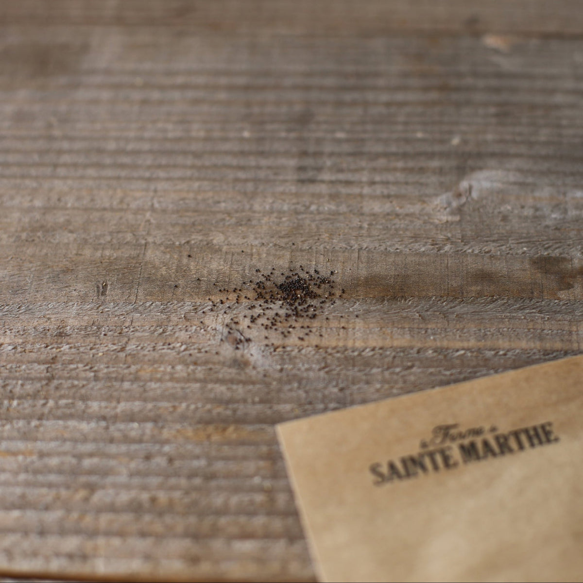 Graines de menthe bio – La Ferme de Sainte Marthe
