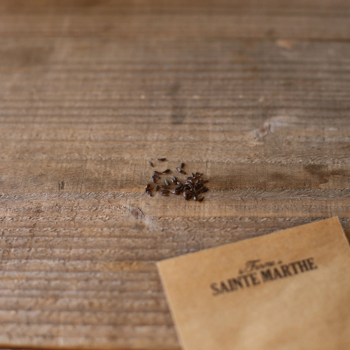 Graines de mertensia maritima ou plante huître bio – La Ferme de Sainte Marthe