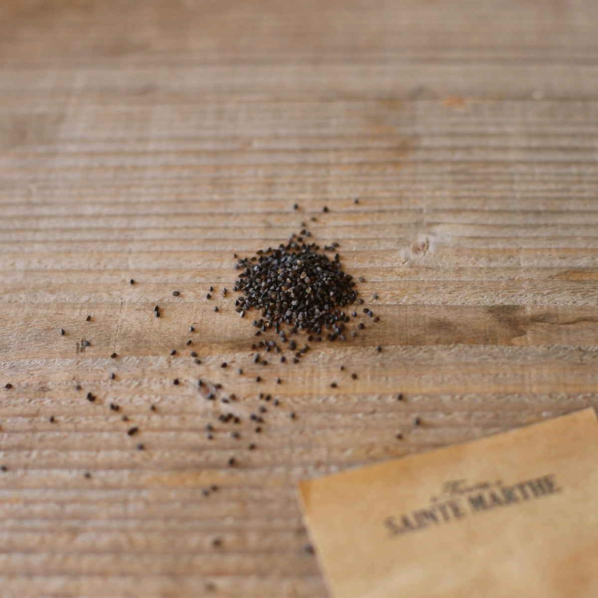 Graines de nigelle d'espagne bio – La Ferme de Sainte Marthe