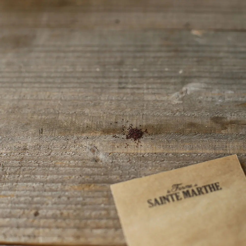 Graines d'origan bio – La Ferme de Sainte Marthe