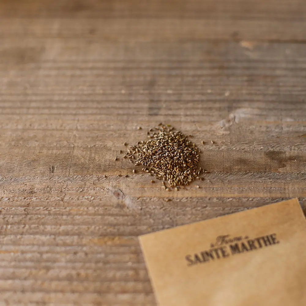 Graines de persil frisé bio – La Ferme de Sainte Marthe