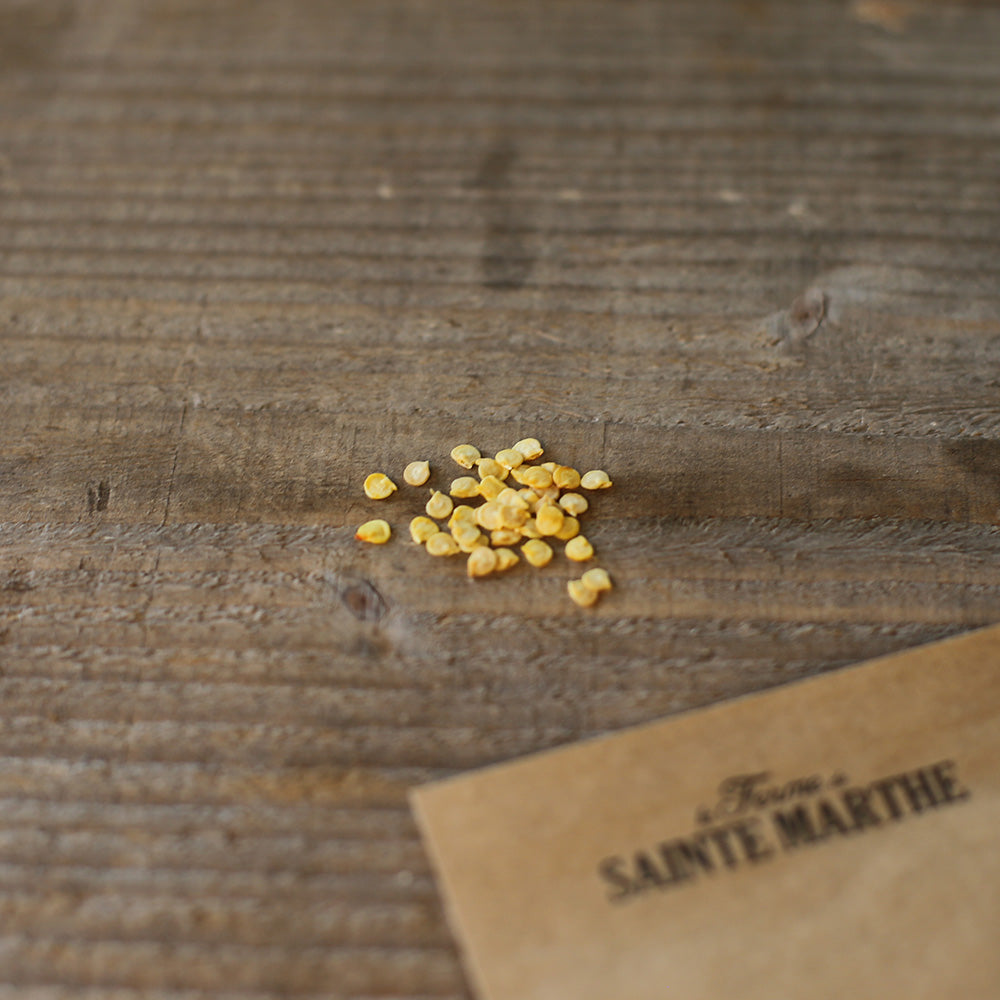 POIVRON PIPPIN'S GOLDEN HONEY AB