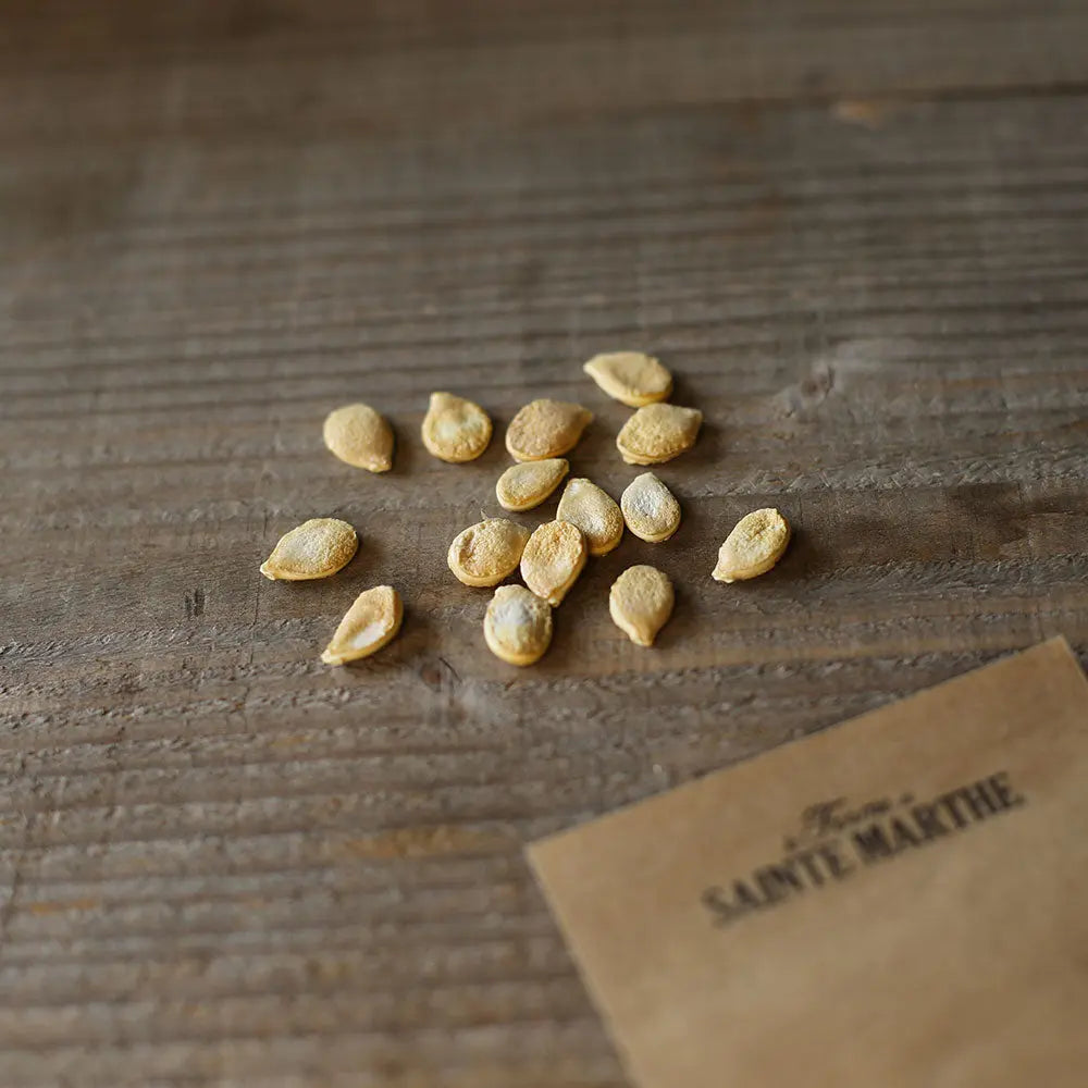 Graines de potiron blue kuri bio – La Ferme de Sainte Marthe