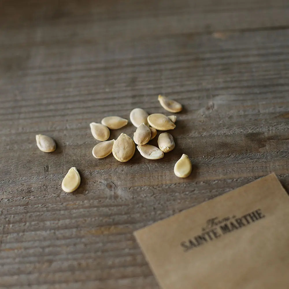 Graines de potiron vert olive bio – La Ferme de Sainte Marthe