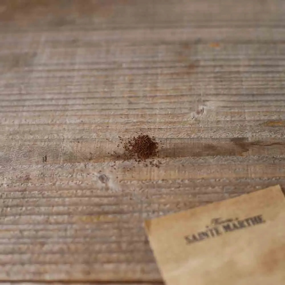 Graines de tabac – La Ferme de Sainte Marthe