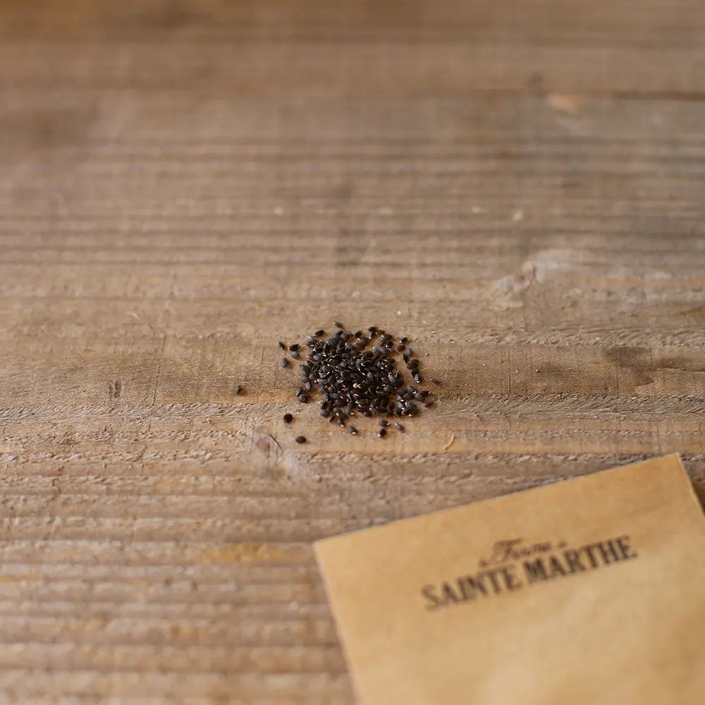 Graines de thé bio – La Ferme de Sainte Marthe