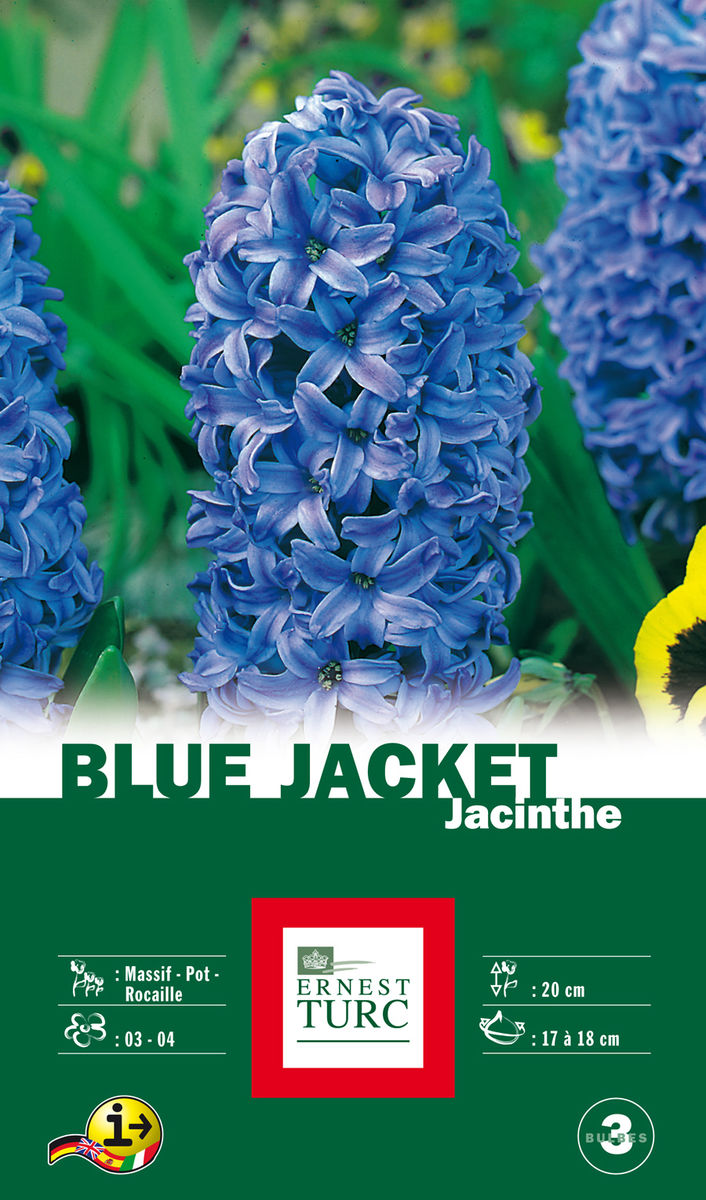 JACINTHE BLUE JACKET