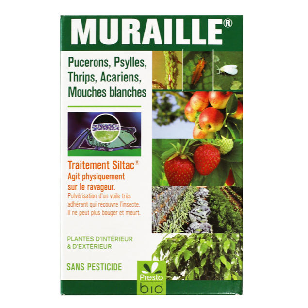MURAILLE PUCERONS, PSYLLES, THRIPS, MOUCHES BLANCHES, ACARIENS