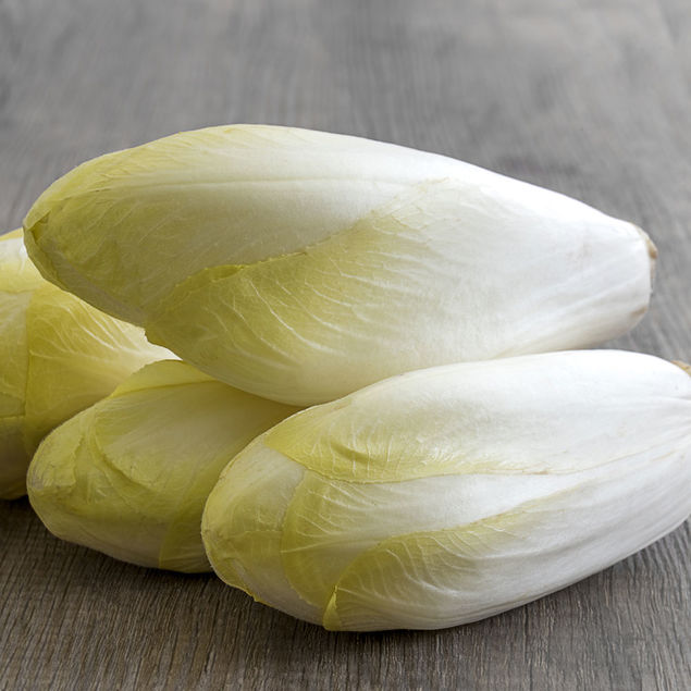ENDIVE WITLOOF NORMALE NT