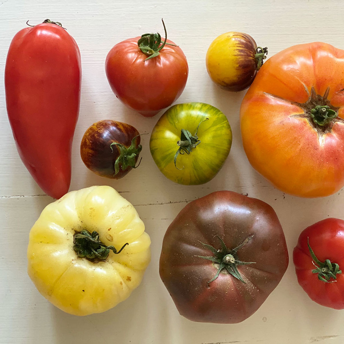 25 graines de Tomate Roma Méthode BIO seeds plante légumes ancien jardin potager 
