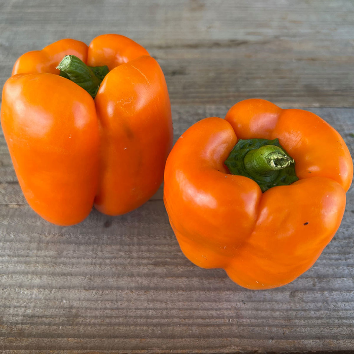 Orange Bell poivrons monstre fruits 10 graines géant-poivrons bac balcon Chili 