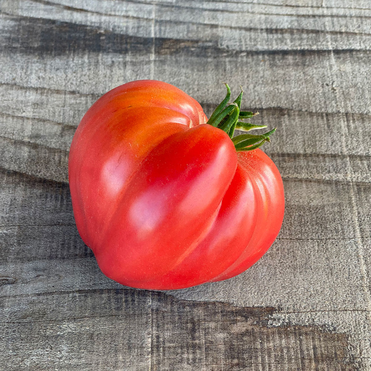 Coeur de Boeuf Tomate - graines non traitées