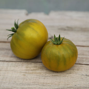 TOMATE GREEN PINEAPPLE AB