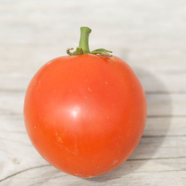 TOMATE POMME ROUGE AB