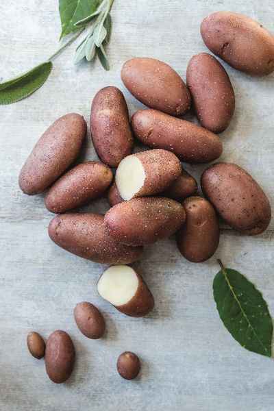 Choisir ses pommes de terre en 3 clics