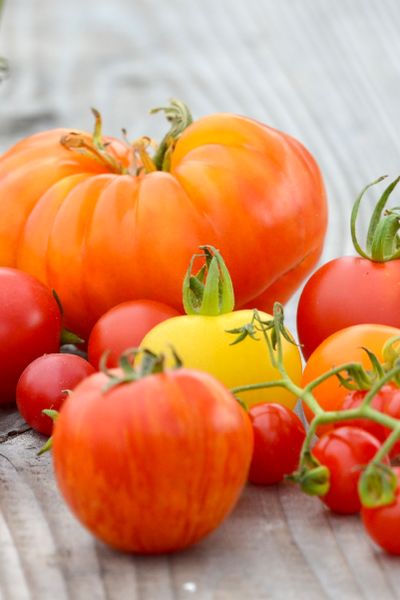 Choisir ses tomates en 3 clics