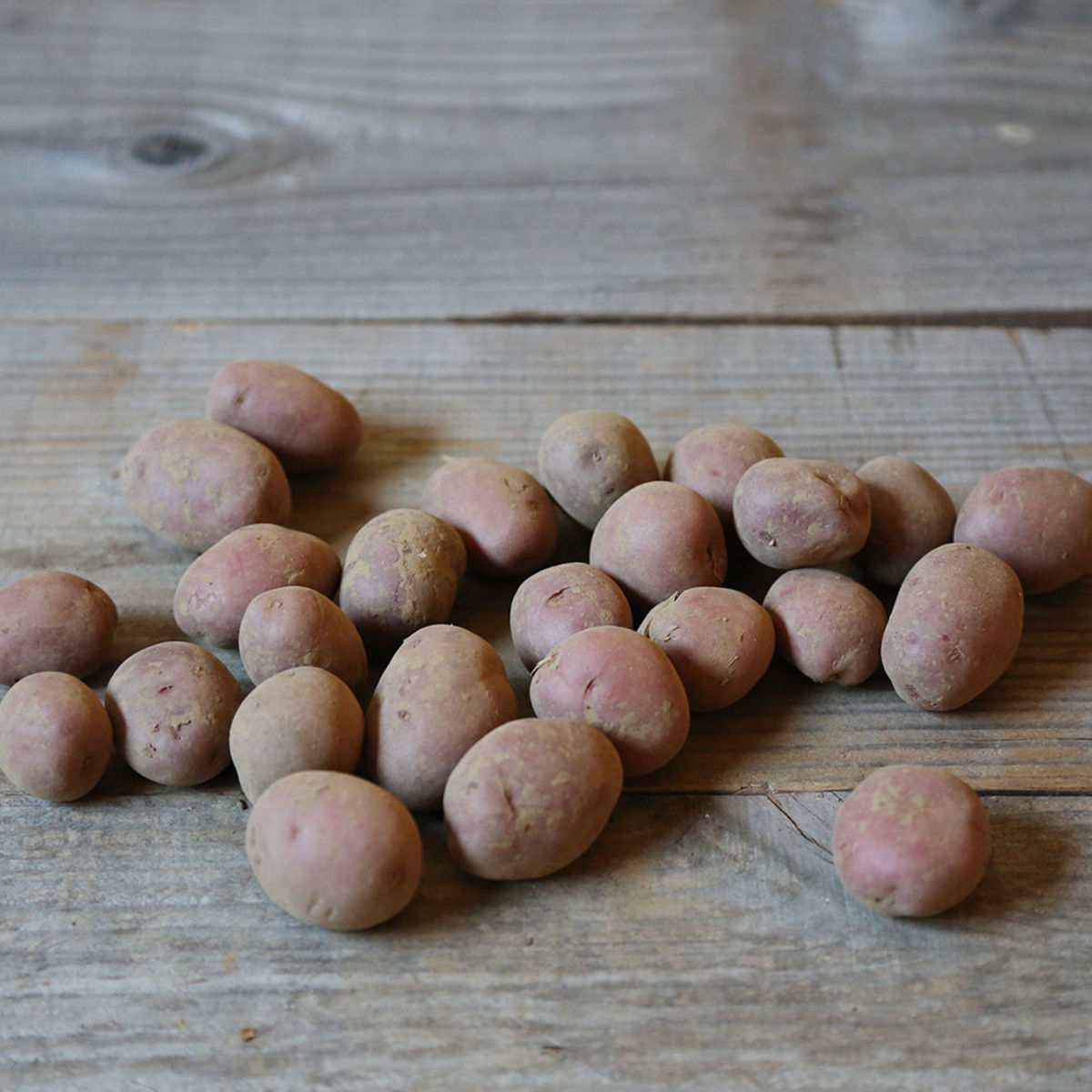 Fécule de pomme de terre : utilisation et recettes - La Fourche
