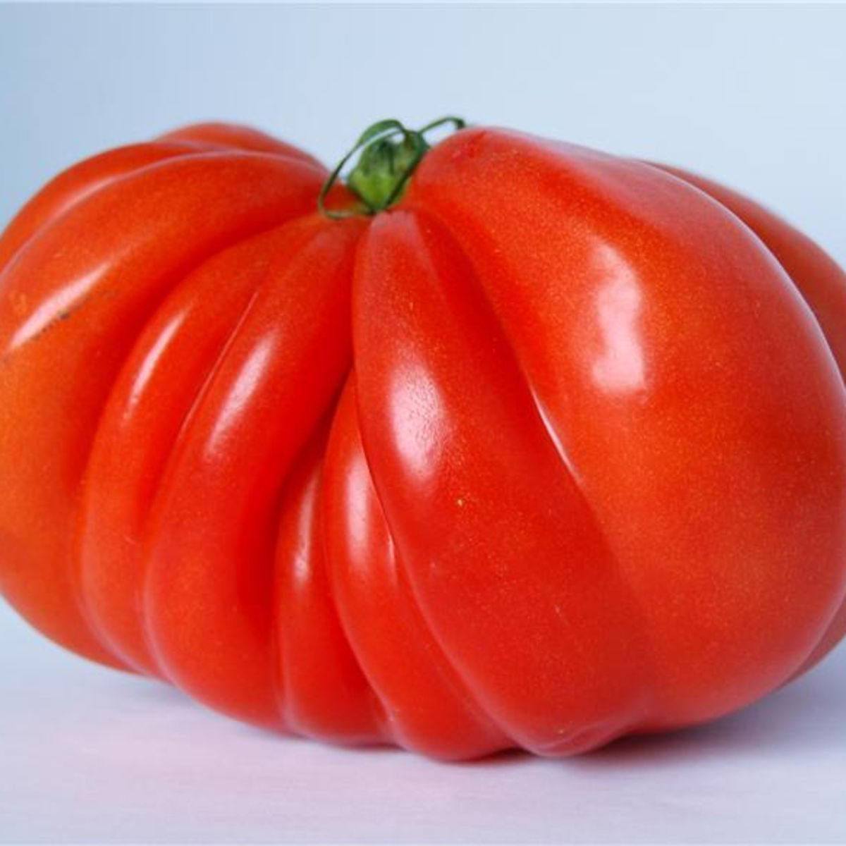 Graines Tomate Beefsteak - Solanum lycopersicum beefsteak