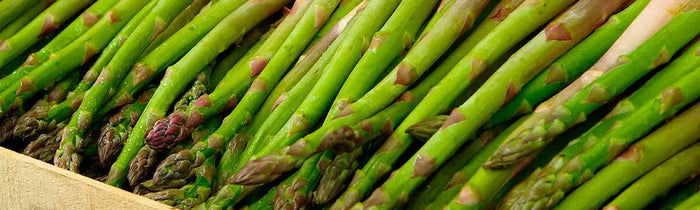 Asperge