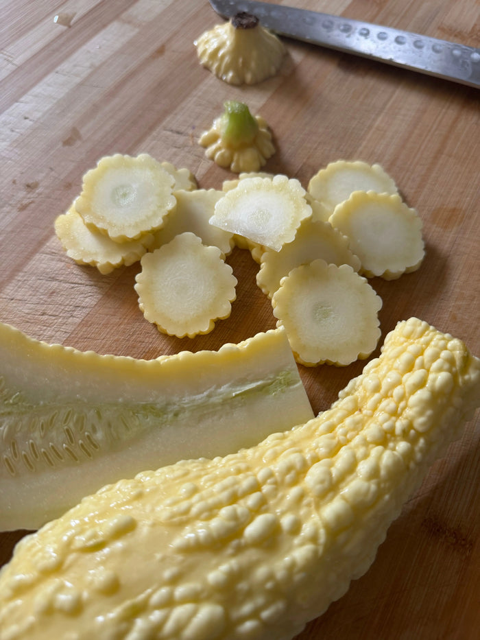 La courgette pop corn présente des boursoufflures à la surface rappelant les pop corn. Très original. 