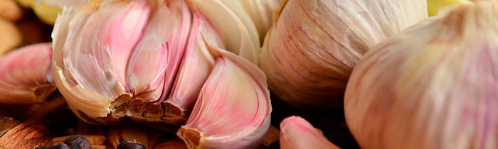Bulbes et gousses d'ail en vrac