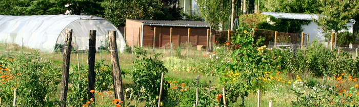 Potager bio, naturel et écologique