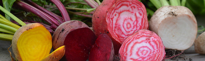 Betterave