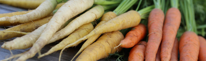 Différentes variétés de carottes
