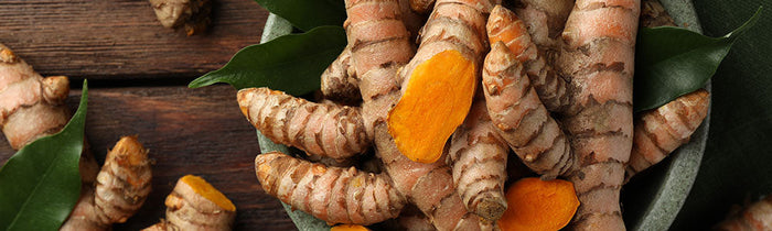 Curcuma